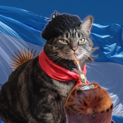 Gato gaucho
