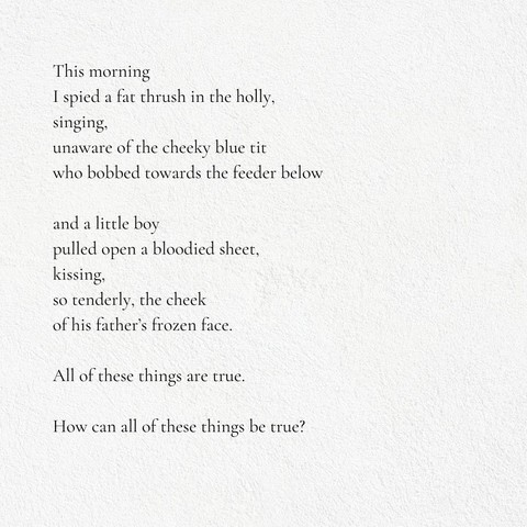 Poem Part 2/2

This morning
I spied a fat thrush in the holly, 
singing,
unaware of the cheeky blue tit 
who bobbed towards the feeder below

and a little boy
pulled open a bloodied sheet,
kissing,
so tenderly, the cheek
of his father’s frozen face.

All of these things are true.

How can all of these things be true?
