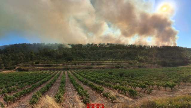 El foc de Fulleda crema des de les sis de la tarda (Bombers)