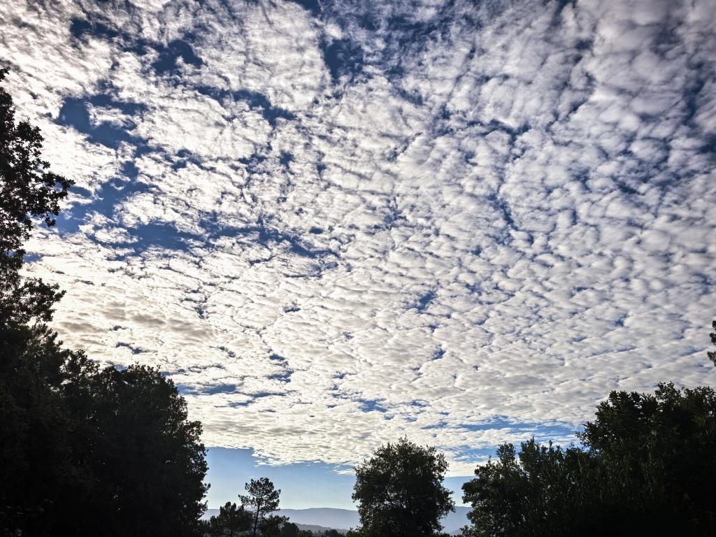 Cielo empedrado, suelo mojado.
*Refranero meteorológico.